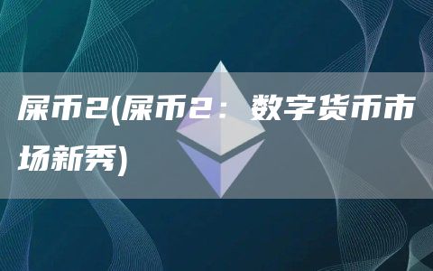屎币2 - 屎币2：数字货币市场新秀
